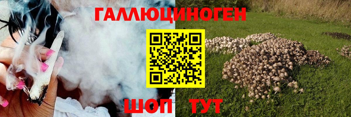 Верхняя Пышма  Псилоцибиновые грибы ЛСД  Вход с VPN 